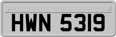 HWN5319