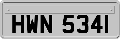 HWN5341