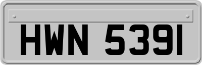 HWN5391