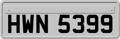HWN5399