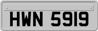 HWN5919