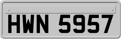 HWN5957