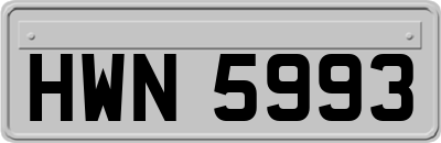 HWN5993