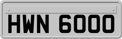 HWN6000