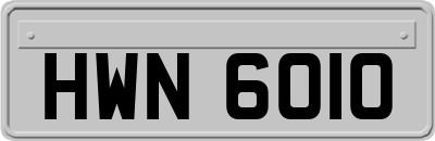 HWN6010