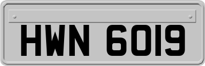 HWN6019