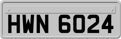 HWN6024