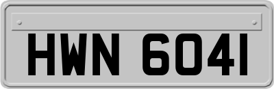 HWN6041