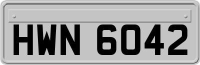 HWN6042