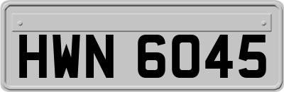 HWN6045