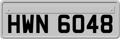 HWN6048