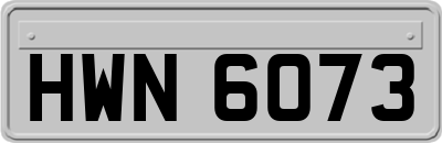 HWN6073