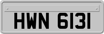 HWN6131