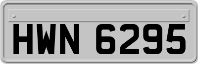 HWN6295
