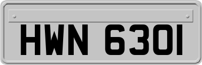 HWN6301
