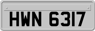 HWN6317