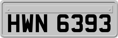 HWN6393