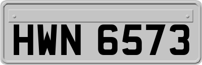 HWN6573