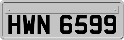 HWN6599