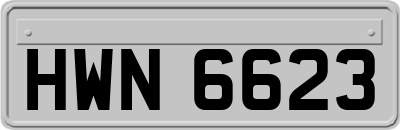 HWN6623