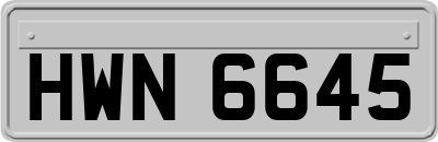 HWN6645