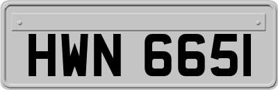 HWN6651
