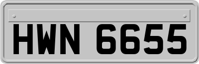HWN6655
