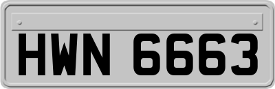 HWN6663