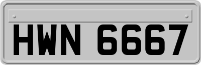 HWN6667