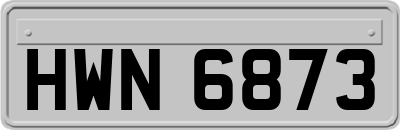HWN6873