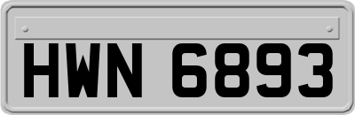 HWN6893