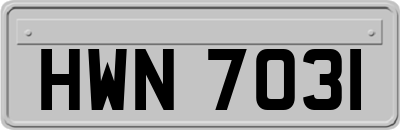 HWN7031