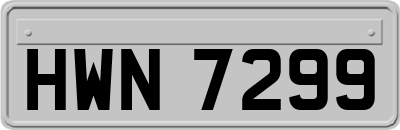 HWN7299