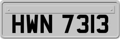 HWN7313