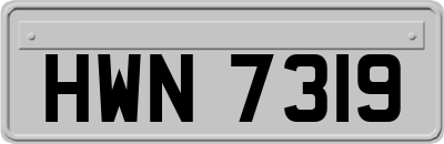 HWN7319
