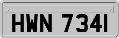 HWN7341