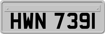 HWN7391