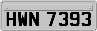 HWN7393
