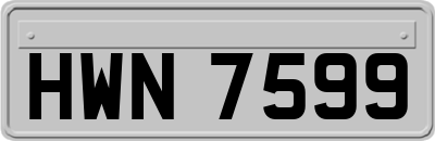 HWN7599