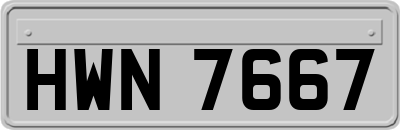 HWN7667