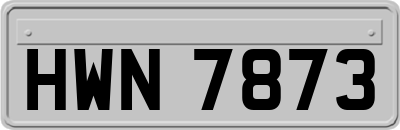 HWN7873