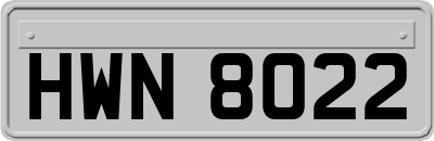 HWN8022