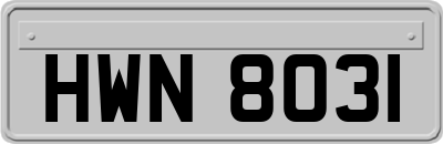HWN8031