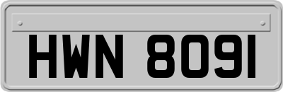 HWN8091