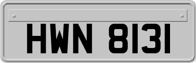 HWN8131