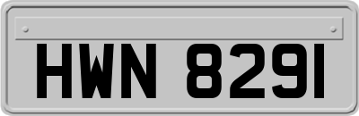 HWN8291
