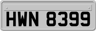 HWN8399