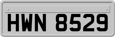 HWN8529
