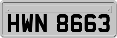 HWN8663