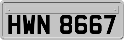 HWN8667